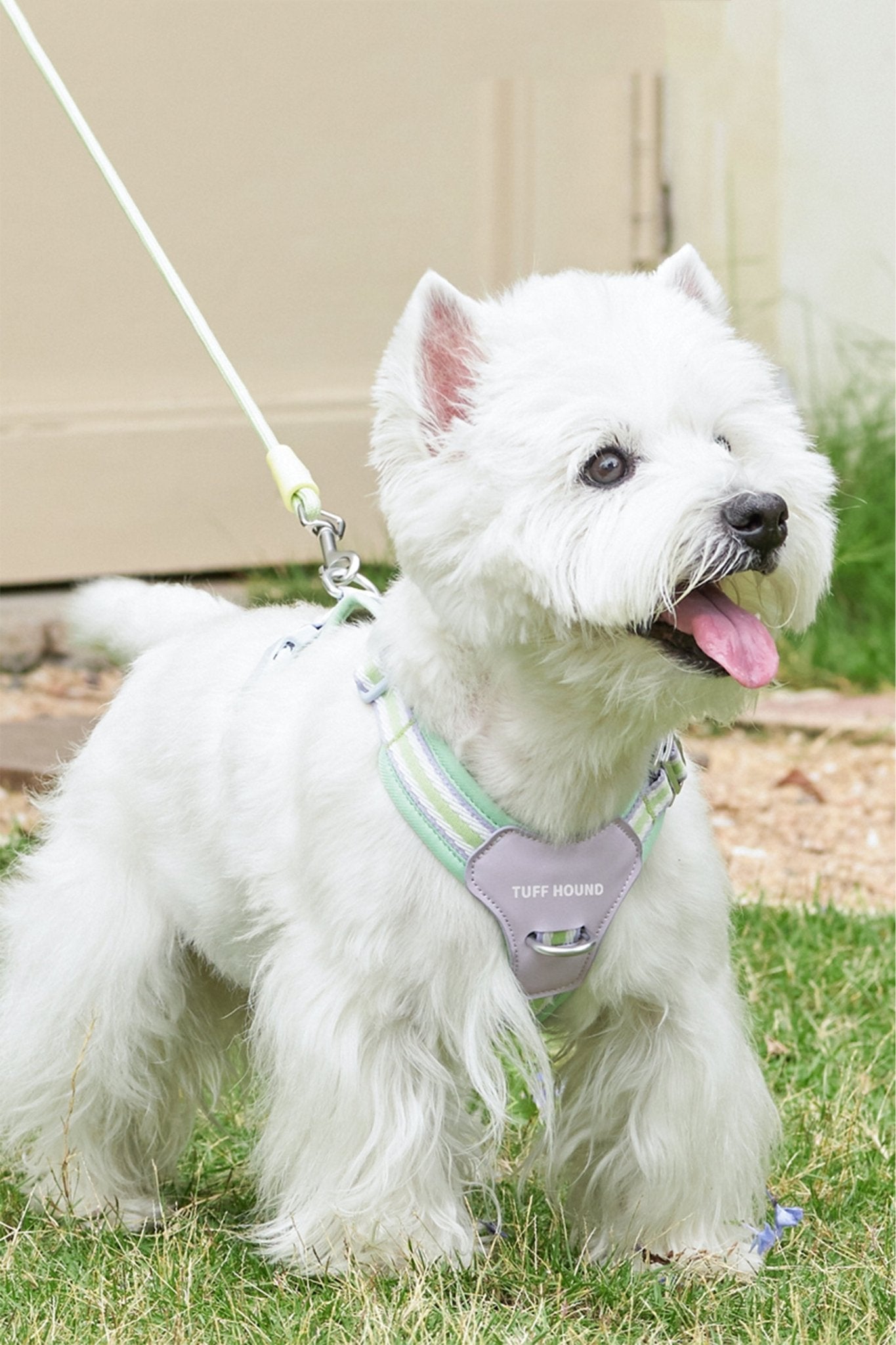 Best Dog Harness - CozyPawHarness
