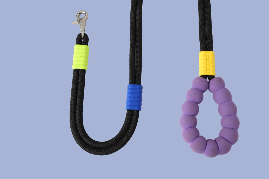 Why Extendable Dog Leashes are the Worst Choice for Dog Owners - CozyPaw