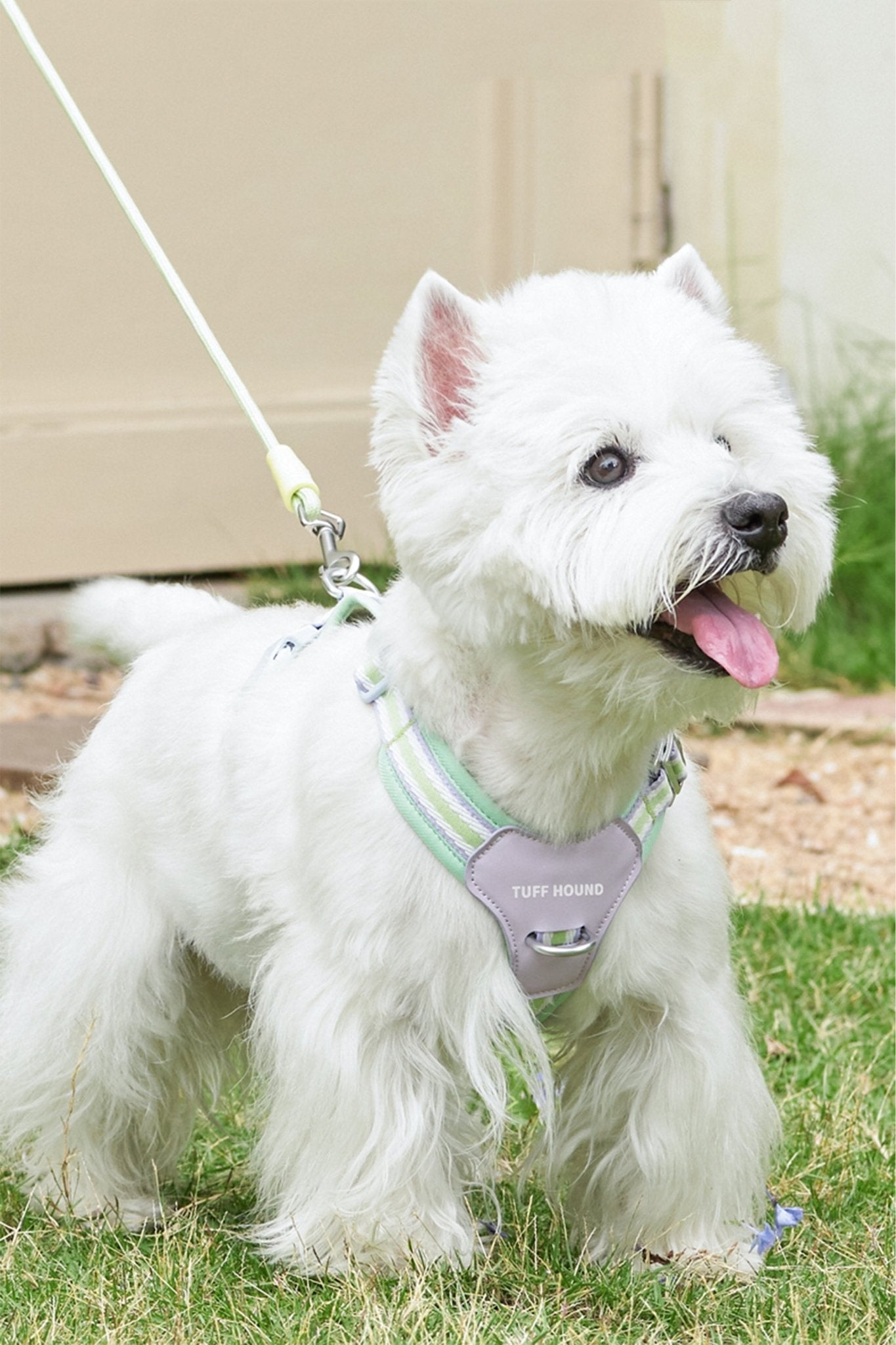 Best Dog Harness - CozyPawHarness