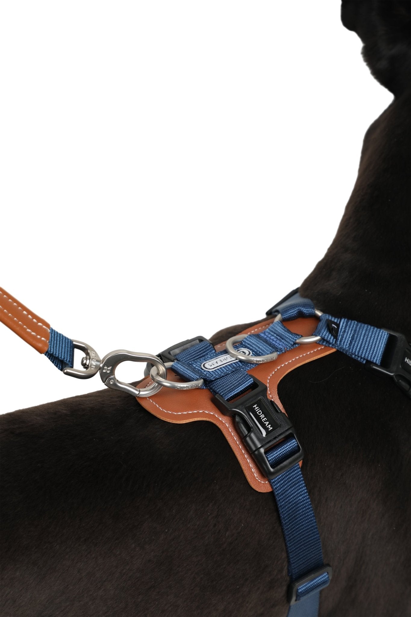 Ruffwear Dog Harness Set - CozyPawHarnessdog harness